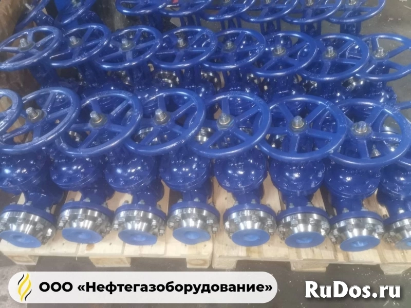 Задвижки 30лс41нж 30лс1​5нж 30лс76нж изображение 3
