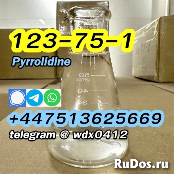 Buy China Factory Pyrrolidine, cas 123-75-1, Kazakhstan, Russia изображение 11