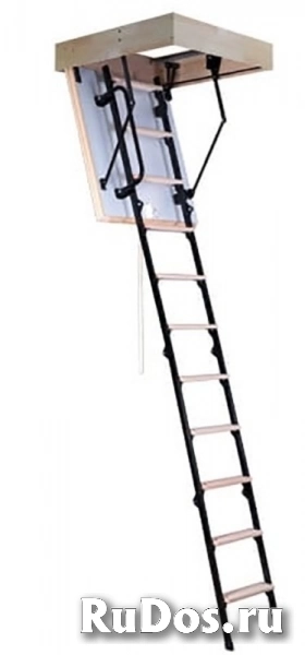 Чердачная лестница Oman Mini Polar 700*1100*2650 (70*110 см) фото