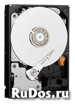 Жесткий диск Western Digital WD Purple NV 4 TB (WD4NPURX) фото