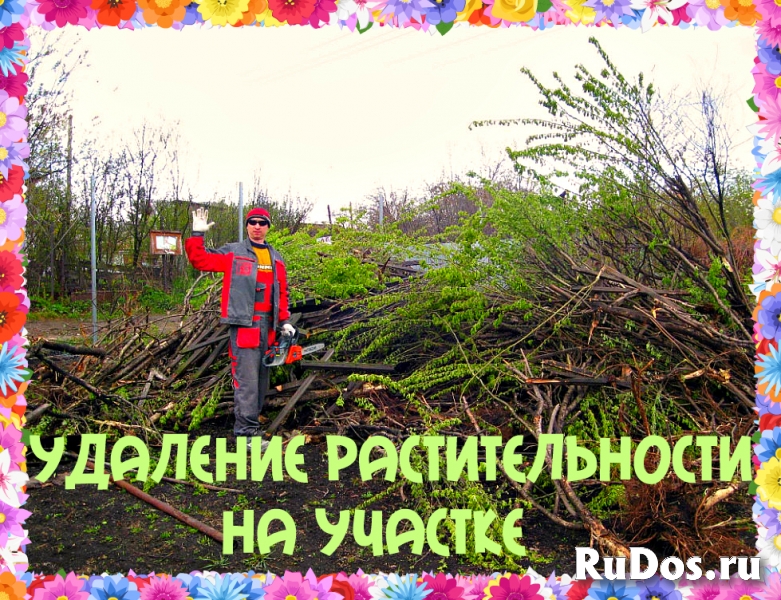 Спилить дерево в Воронеже фото