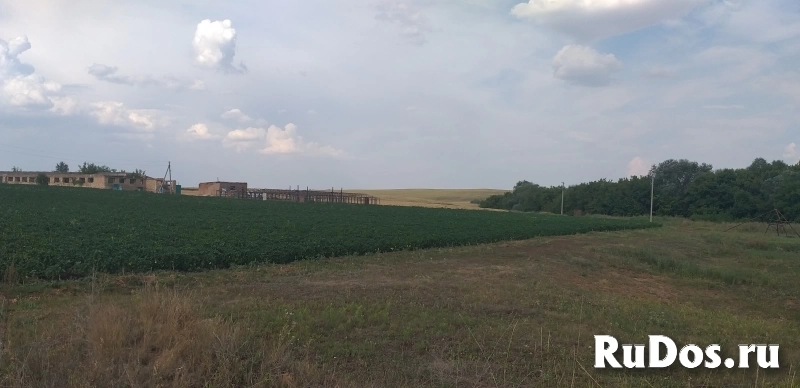 Продается производственная база в Октябрьском, Оренбургская обл. Продается производственная база изображение 3