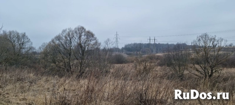 Продам участок 1315 сот. Щекино объявление Продам участок 1315 сот. изображение 4