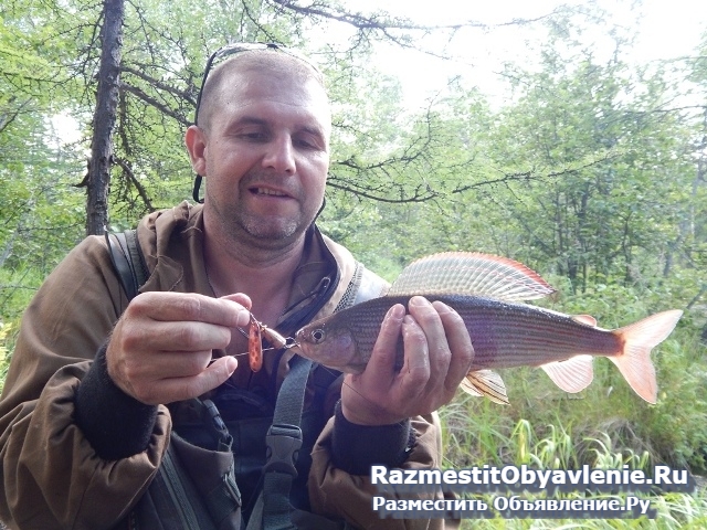 Увлекательная рыбалка на севере Сахалина фотка