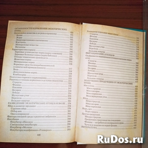 Разведение экзотических домашних птиц"страусы,фазаны,павлины,цеса изображение 3