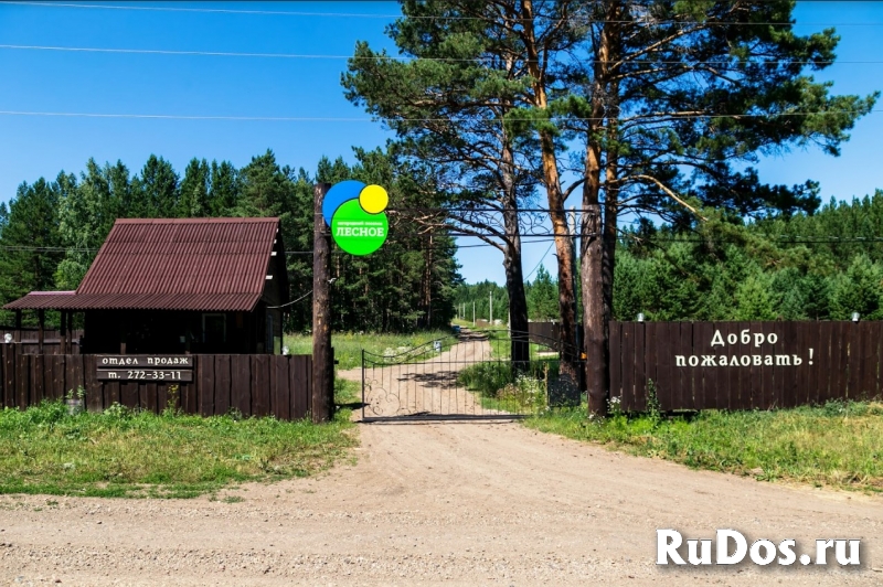 Земельный участок с озером и лесом. фото