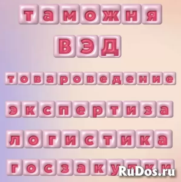 Помощь студентам: таможня, ВЭД фото