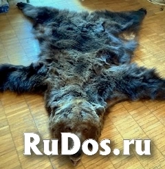 , частное объявление изображение 4