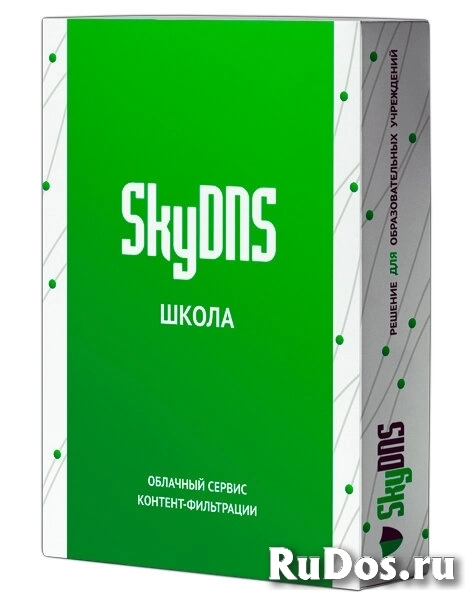 SkyDNS Школа. 95 лицензий на 1 год (SKY_Schl_95) фото