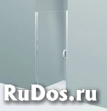 Душевая дверь в нишу AM.PM Bliss L W53S-D90-000CT фото