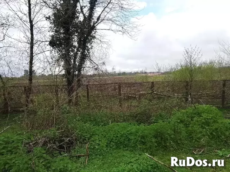 Продается готовый бизнес в Абхазии изображение 3