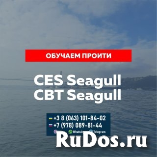 Помощь Seagull CES, Seagull CBT и сдача других тестов для моряков фото