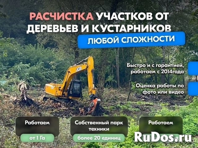 Расчистка территорий от деревьев и пней от 1 Га фото
