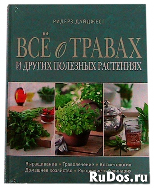 книга «Всё о травах и других полезных растениях » фото