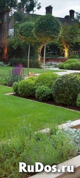 Обрезка хвойников, обработка сада, озеленение изображение 8