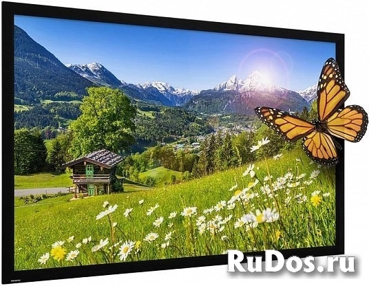 Экран Экран Projecta HomeScreen Deluxe 140x236 HD Progressive 1.1 Perforated (10690486) фото