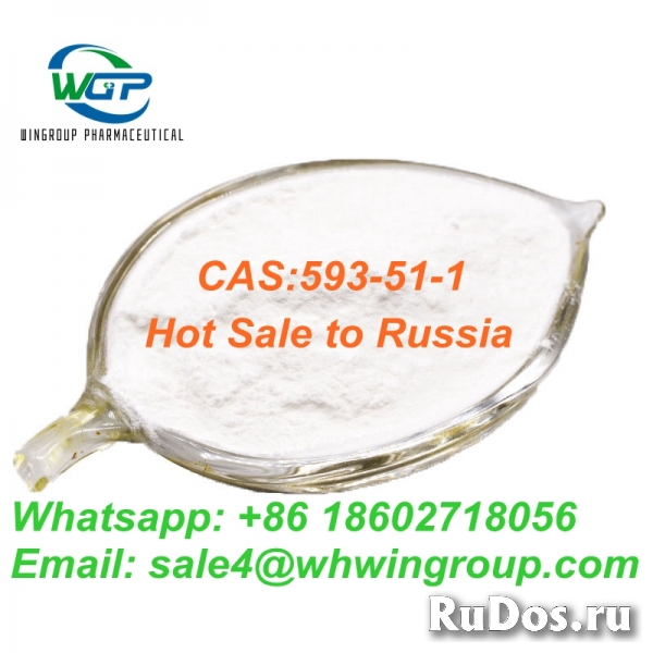 Fast Delivery Pure 99% Methylamine Hydrochloride CAS 593-51-1 фотка