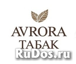 Супервайзер торговых представителей фото