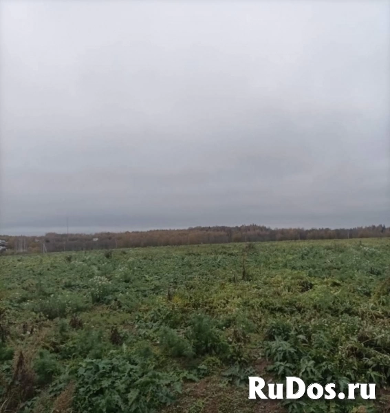 Продам коммерческую недвижимость 5170 сот изображение 7