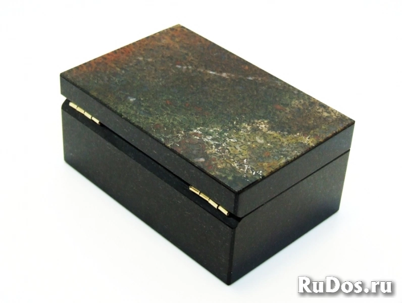 Динозавр - Коллекционная Шкатулка из окаменевшей кости - камня Динобон изображение 5