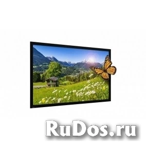 Экран Projecta HomeScreen Deluxe 140x236см [10600481] фото