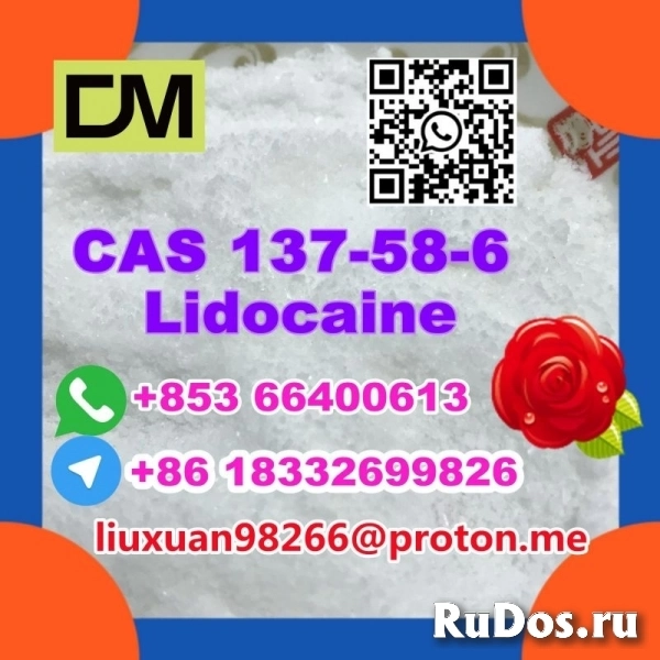 Manufacturer Supply Raw Material CAS 137-58-6 Lidocaine фотка