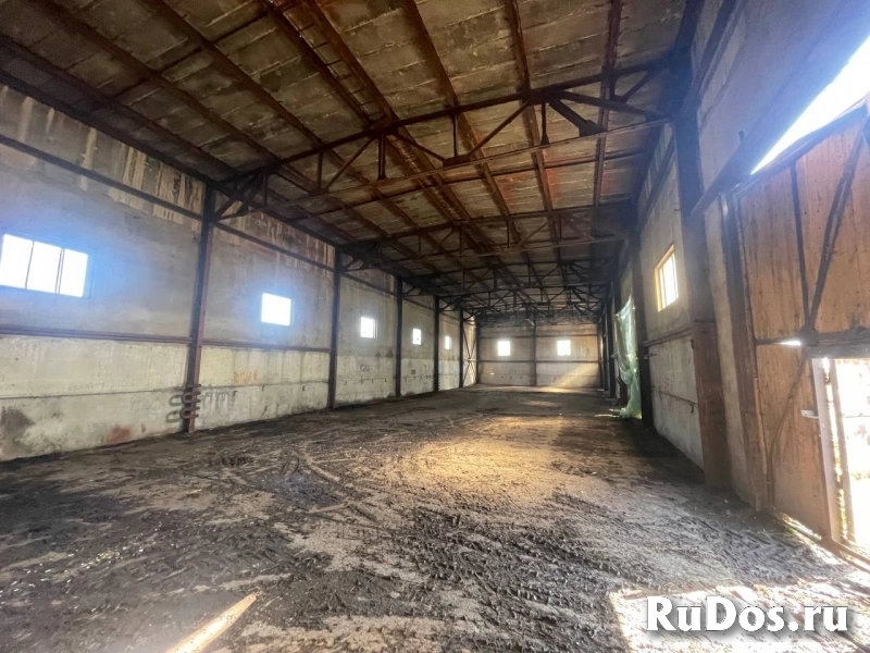 Сдам коммерческую недвижимость 550 м2 фото