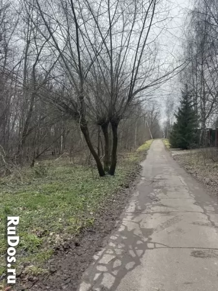 Прилесной участок с потрясающей природой изображение 3