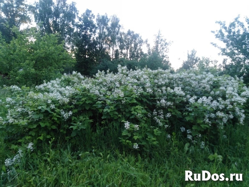 Продам дом 47 м2 изображение 4