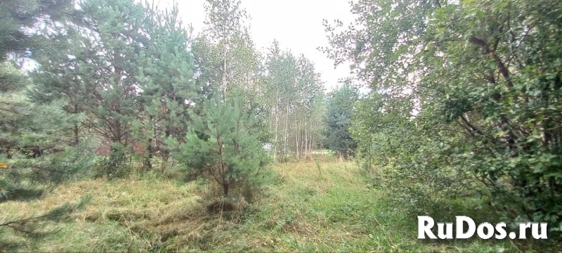 Продам участок 11 сот. изображение 8