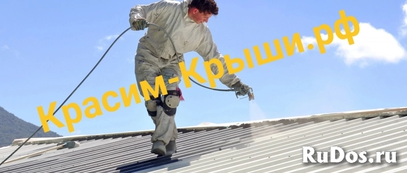 Покраска крыши дома в Балашихе Покраска крыши дома в Балашихе фото