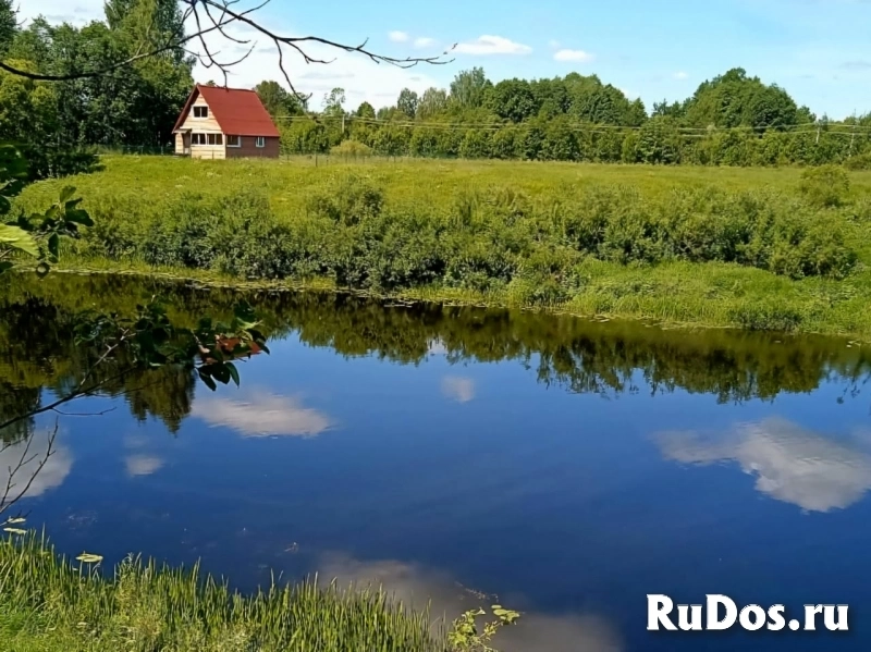 Добротный дом с банькой на высоком берегу р. Шелонь фотка