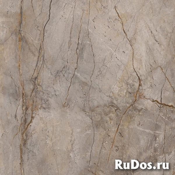 Плитка керамогранит Apavisa Wild Forest Wild forest grey pol mix 120x120_G-3459 ( м2) фото