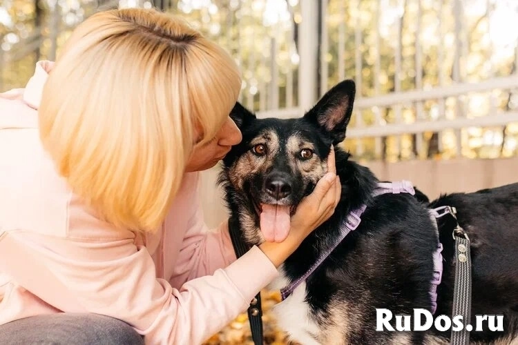 Макена ищет дом. изображение 7