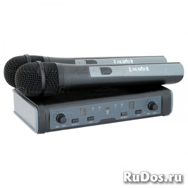 Радиосистема на два микрофона ProAudio DWS-807HT фото
