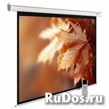 Экран для проектора Cactus MotoExpert CS-PSME-300x188-WT, white фото