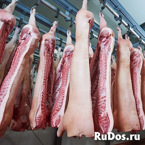 Реализация оптом, мясо ЦБ, свинина, говядина, баранина. изображение 4