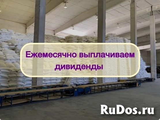 Инвестиции в оптовую торговлю Сахаром, доход 80% изображение 4