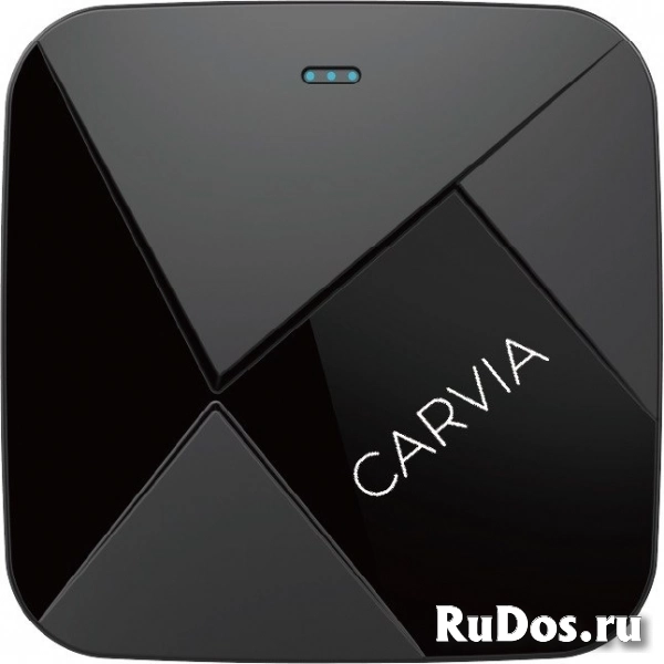 Carvia видеоинтерфейс GO фото