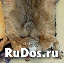 , частное объявление изображение 3