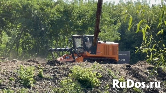 Гусеничный мульчер, расчистка от деревьев фотка