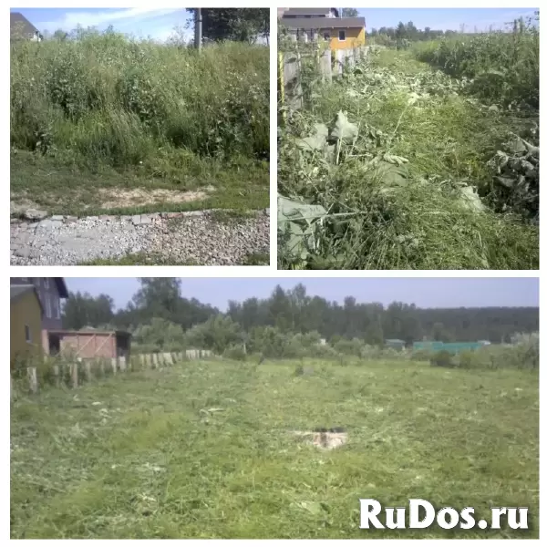 Расчистка участков; Благоустройство; Вывоз мусора: Недорого! Воронеж фотка