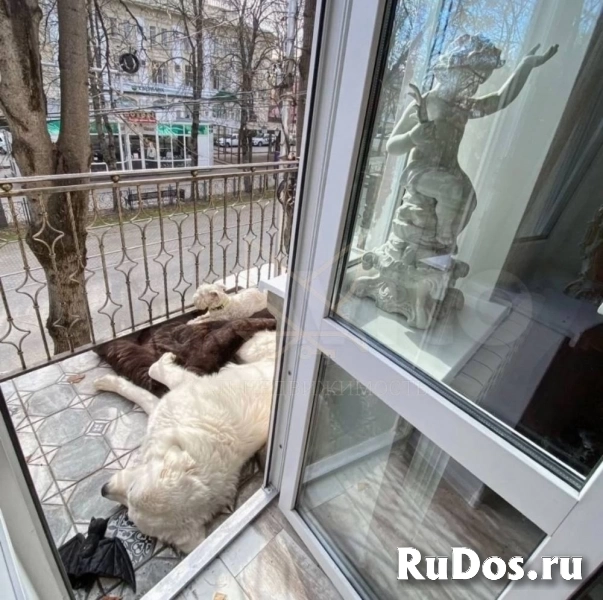 Продам 3 комнатную квартиру 70 м2 изображение 5