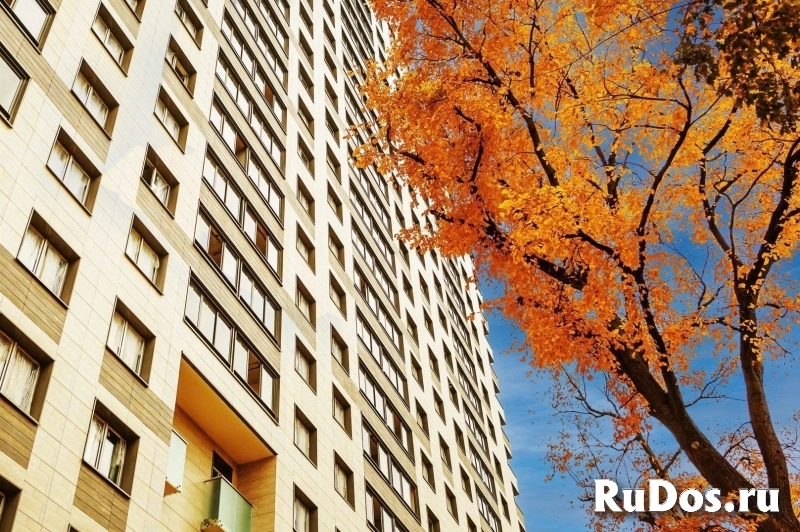 Продам 2 комнатную квартиру 65 м2 изображение 9
