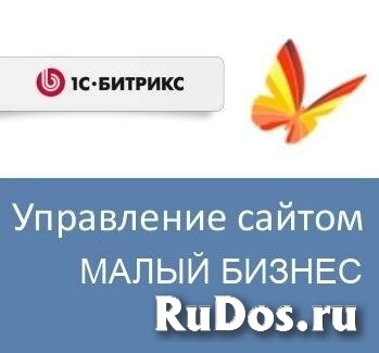 Право на использование (электронно) 1С-Битрикс Управление сайтом - Малый бизнес (переход с редакции Старт) фото