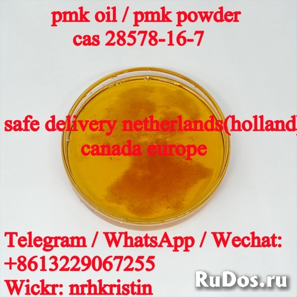 CAS 28578-16-7 pmk ethyl g-lycidate new pmk powder pmk oil фото