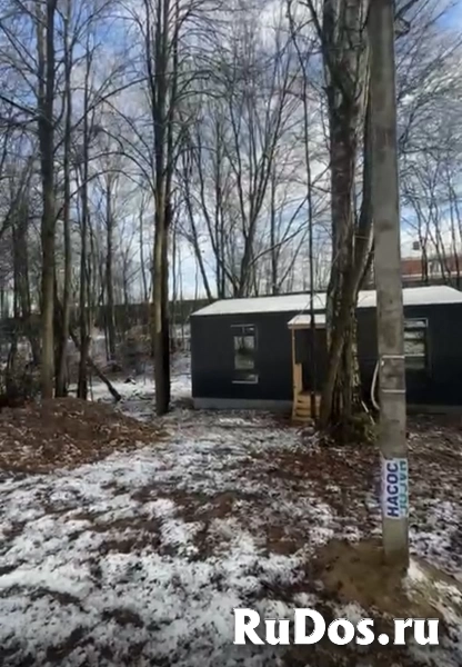 Рельефный участок с вековыми деревьями. изображение 5