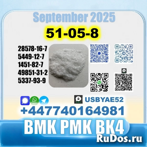 Procaine HCl 51-0-8 bvf bk4/2b4m BMK pmk source factory изображение 4