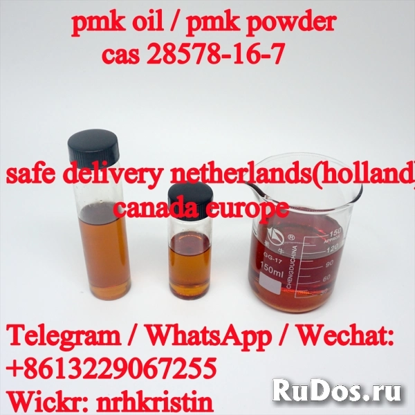 Cas 28578-16-7 pmk oil yellow pmk powder white pmk powder изображение 3