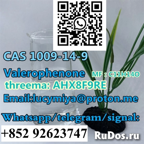 Valerophenone CAS 1009-14-9 фотка